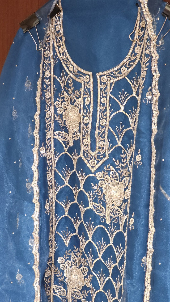 Glass Tissue Suit in Handwork Embroidery