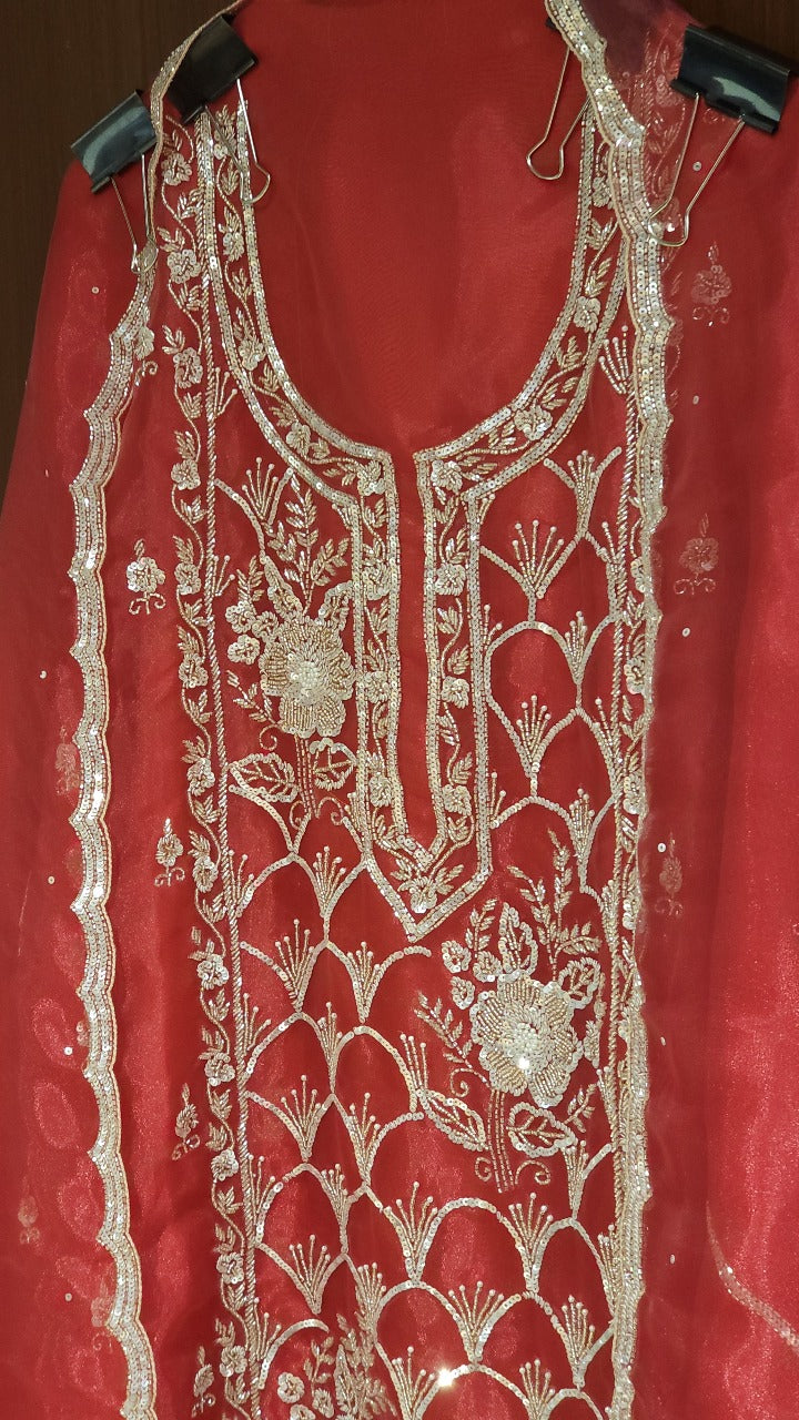 Glass Tissue Suit in Handwork Embroidery