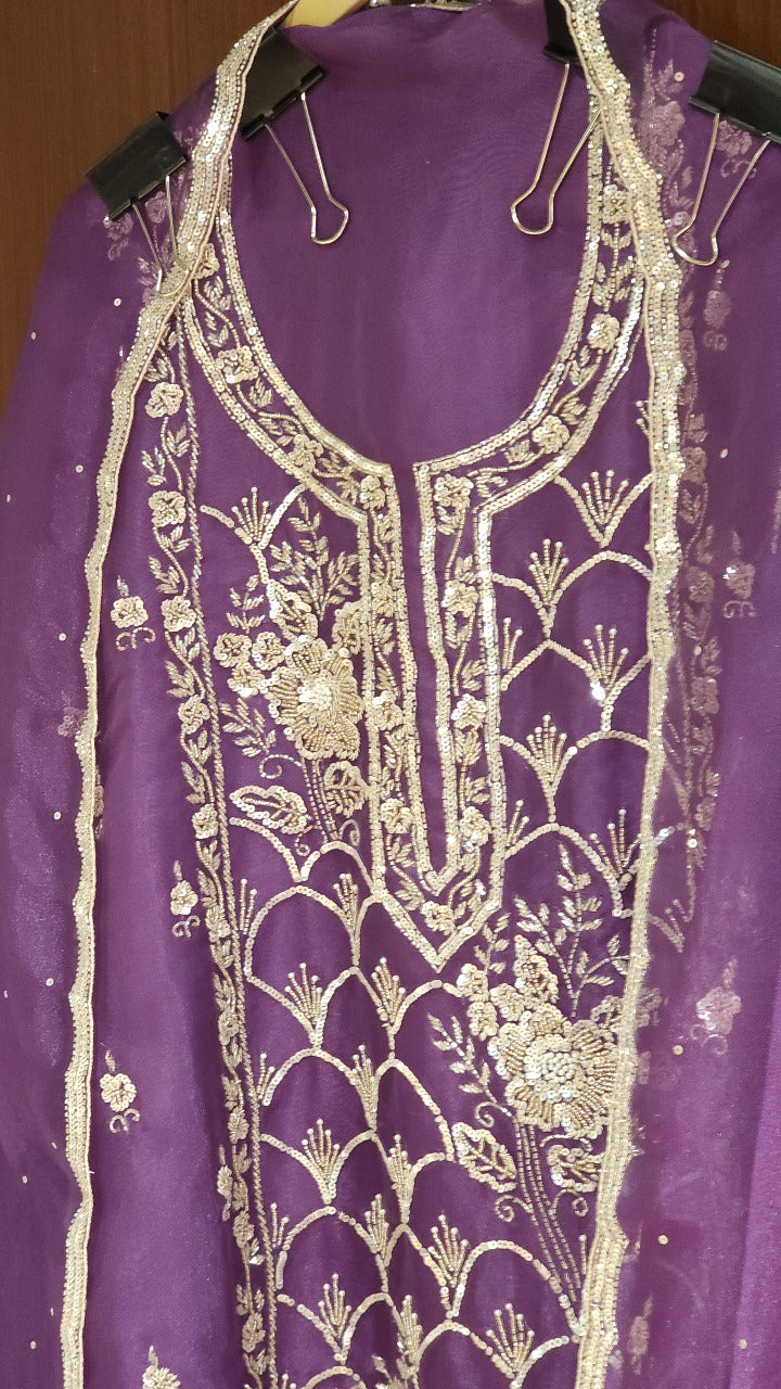 Glass Tissue Suit in Handwork Embroidery