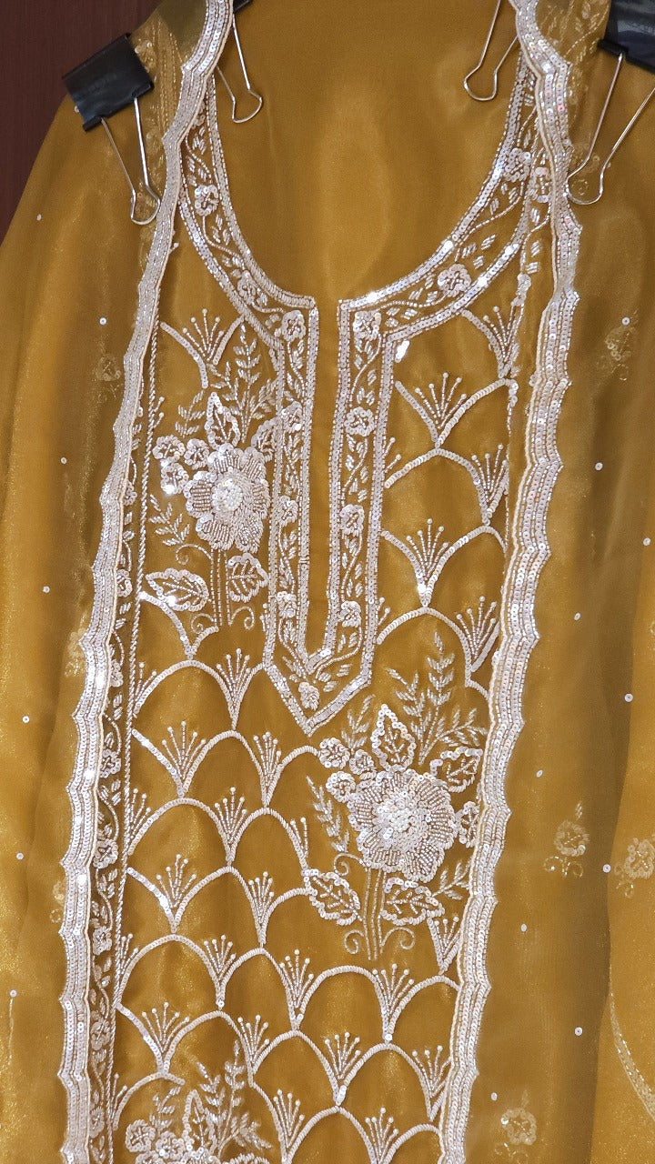 Glass Tissue Suit in Handwork Embroidery