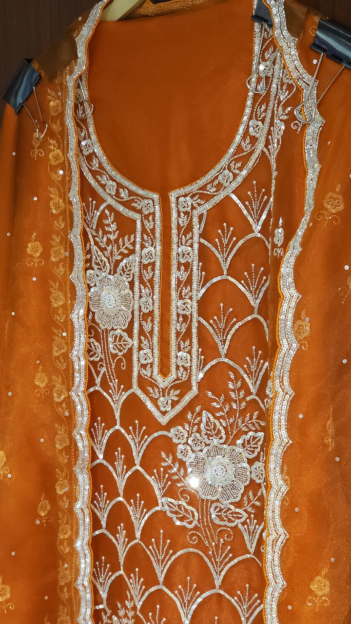 Glass Tissue Suit in Handwork Embroidery