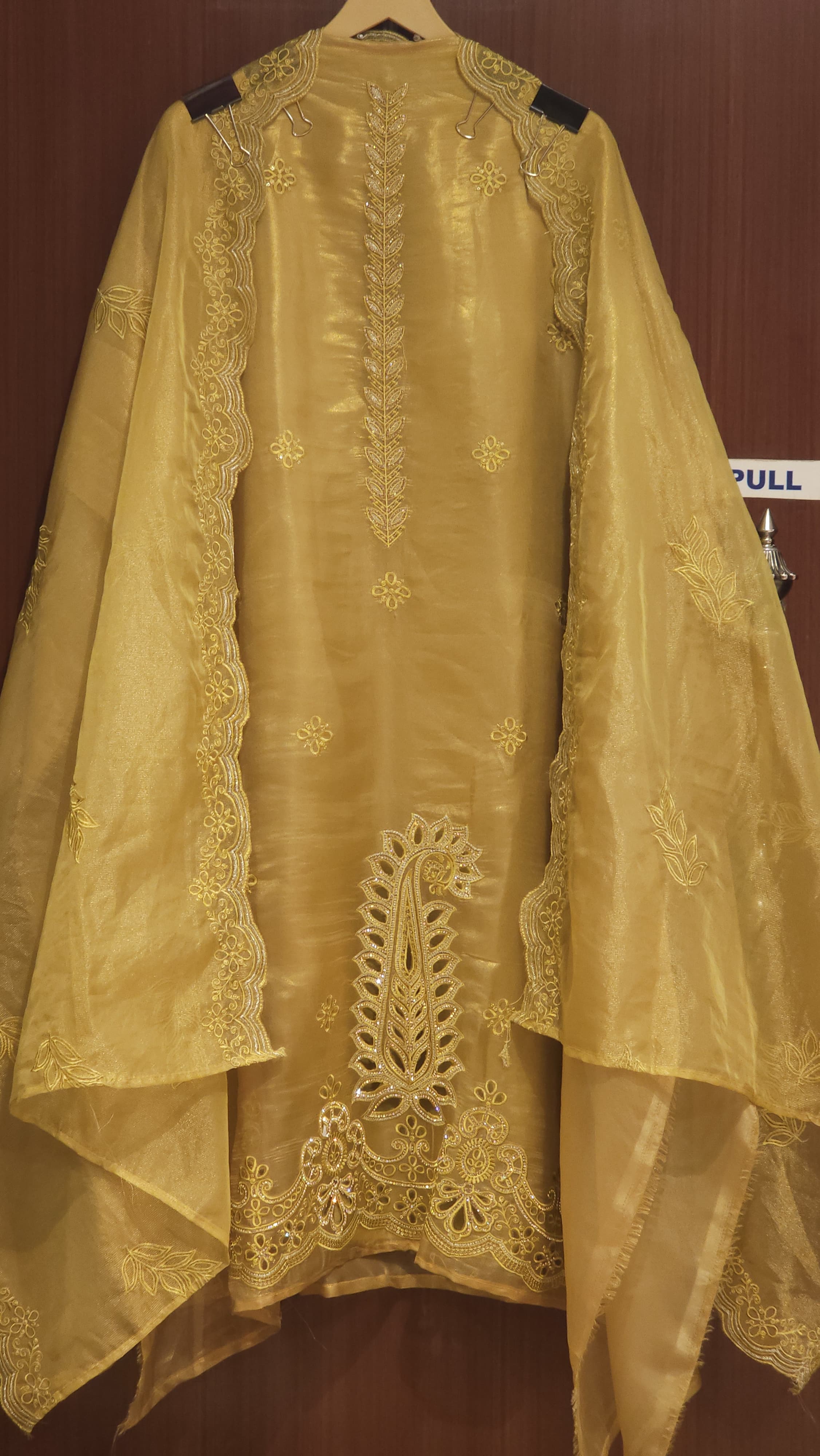 Organza Tissue Suit with Cutwork & Jarkan Embroidery