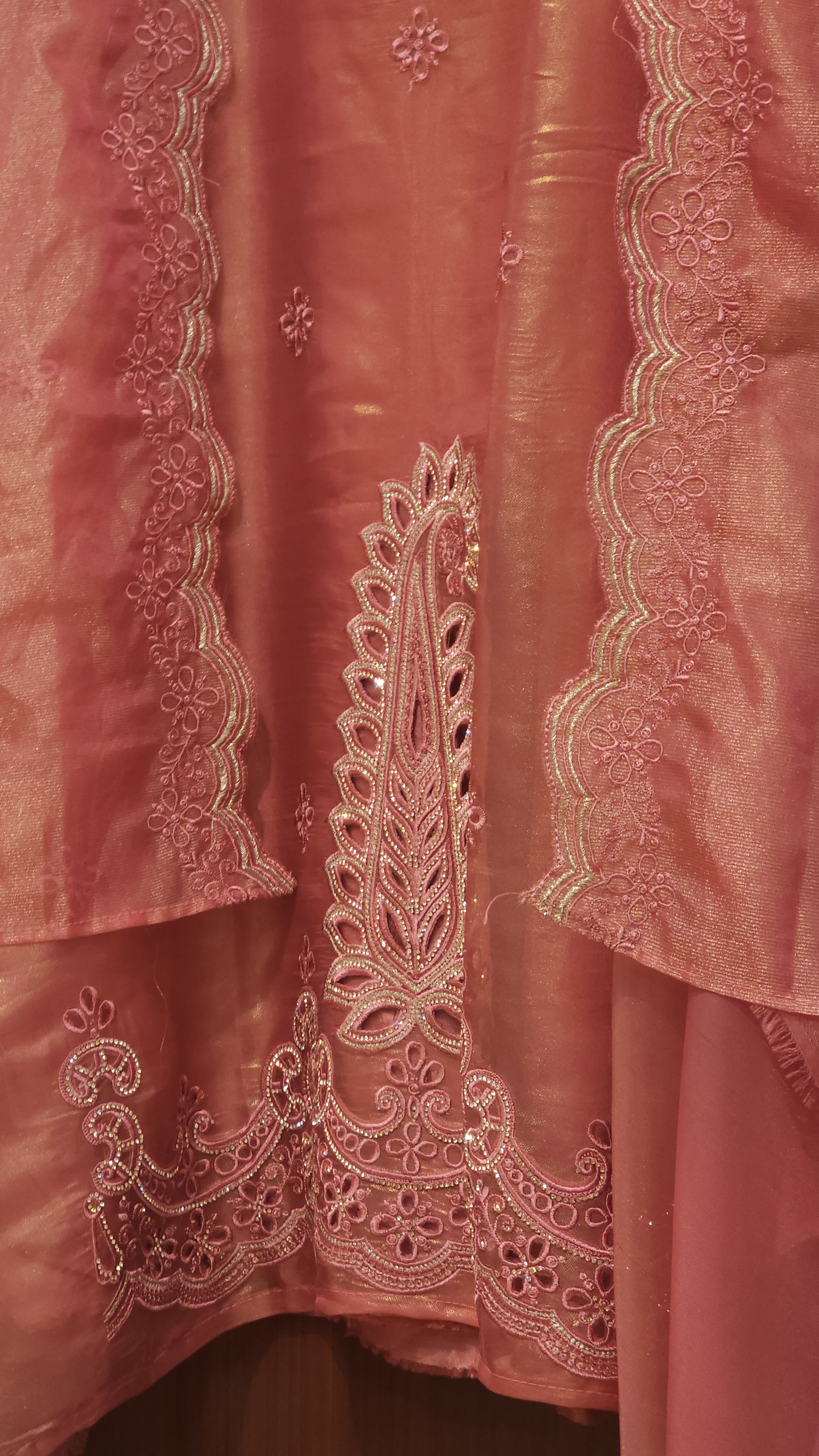 Organza Tissue Suit with Cutwork & Jarkan Embroidery