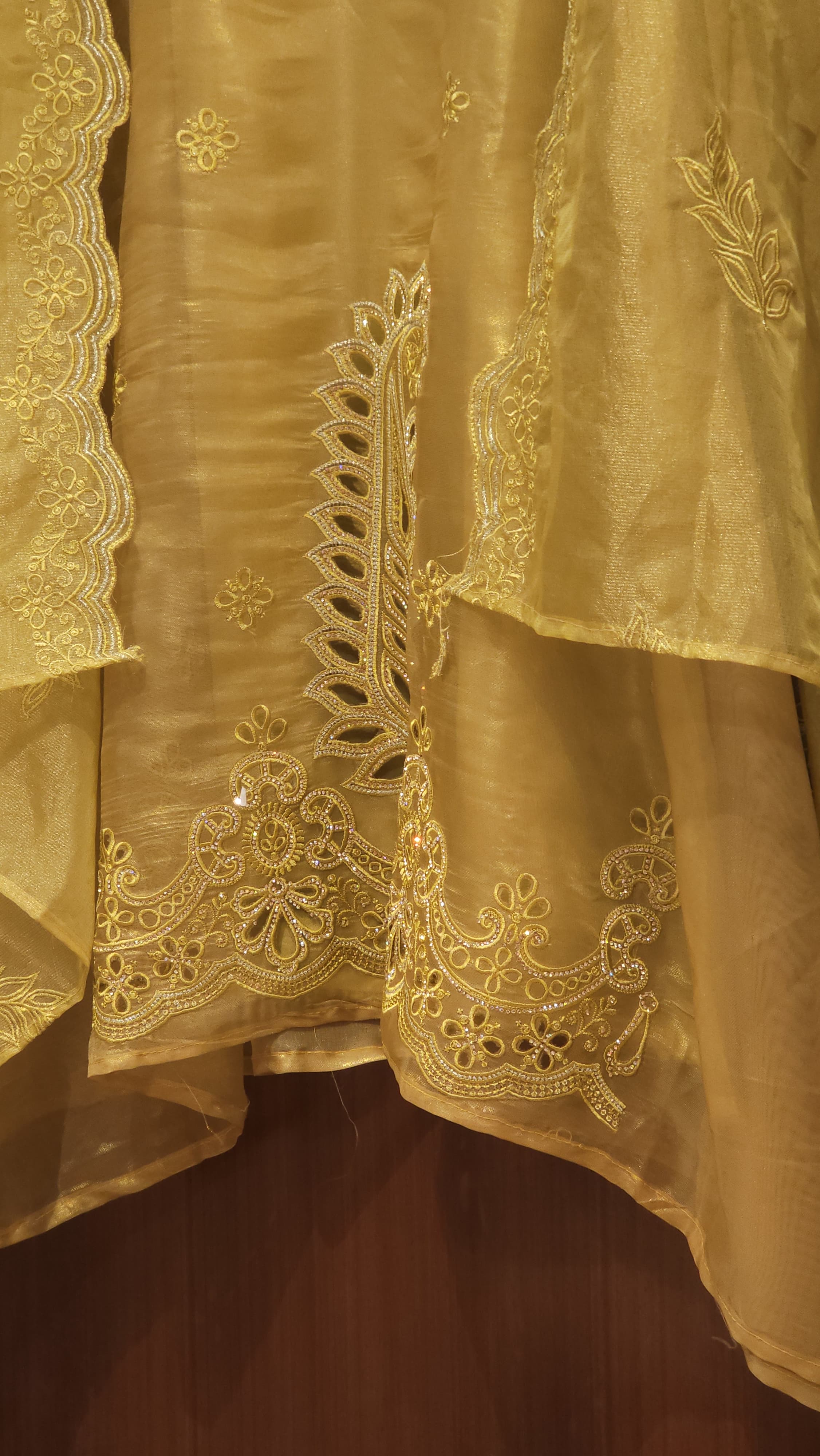 Organza Tissue Suit with Cutwork & Jarkan Embroidery