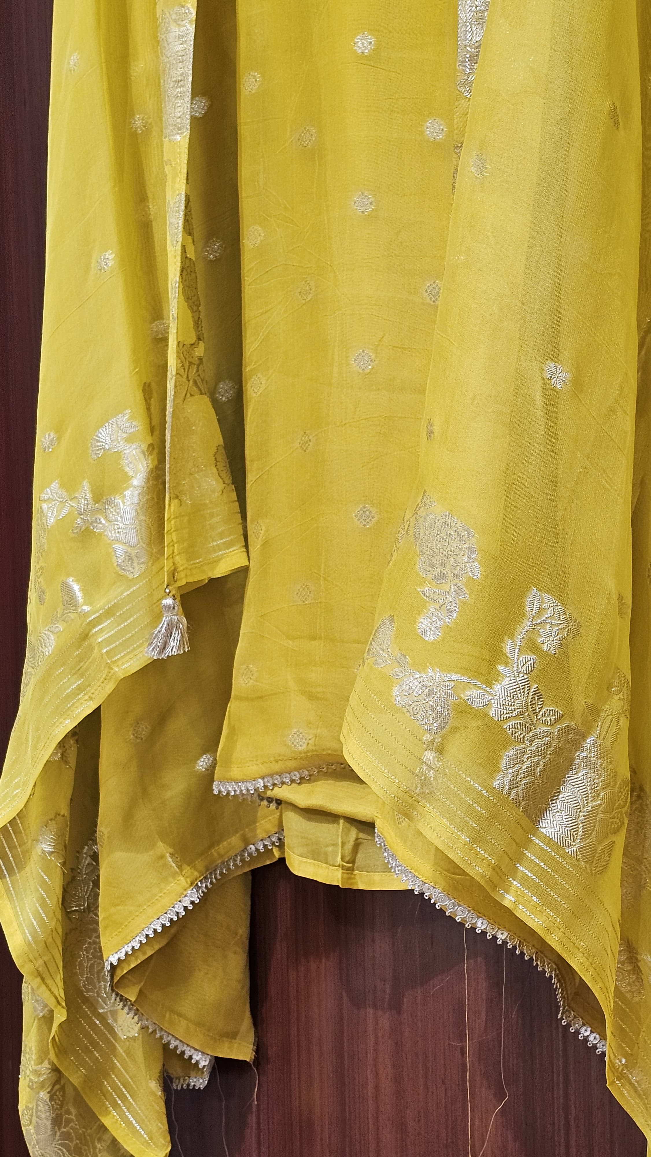Banarasi Organza Elegance for Festive Season