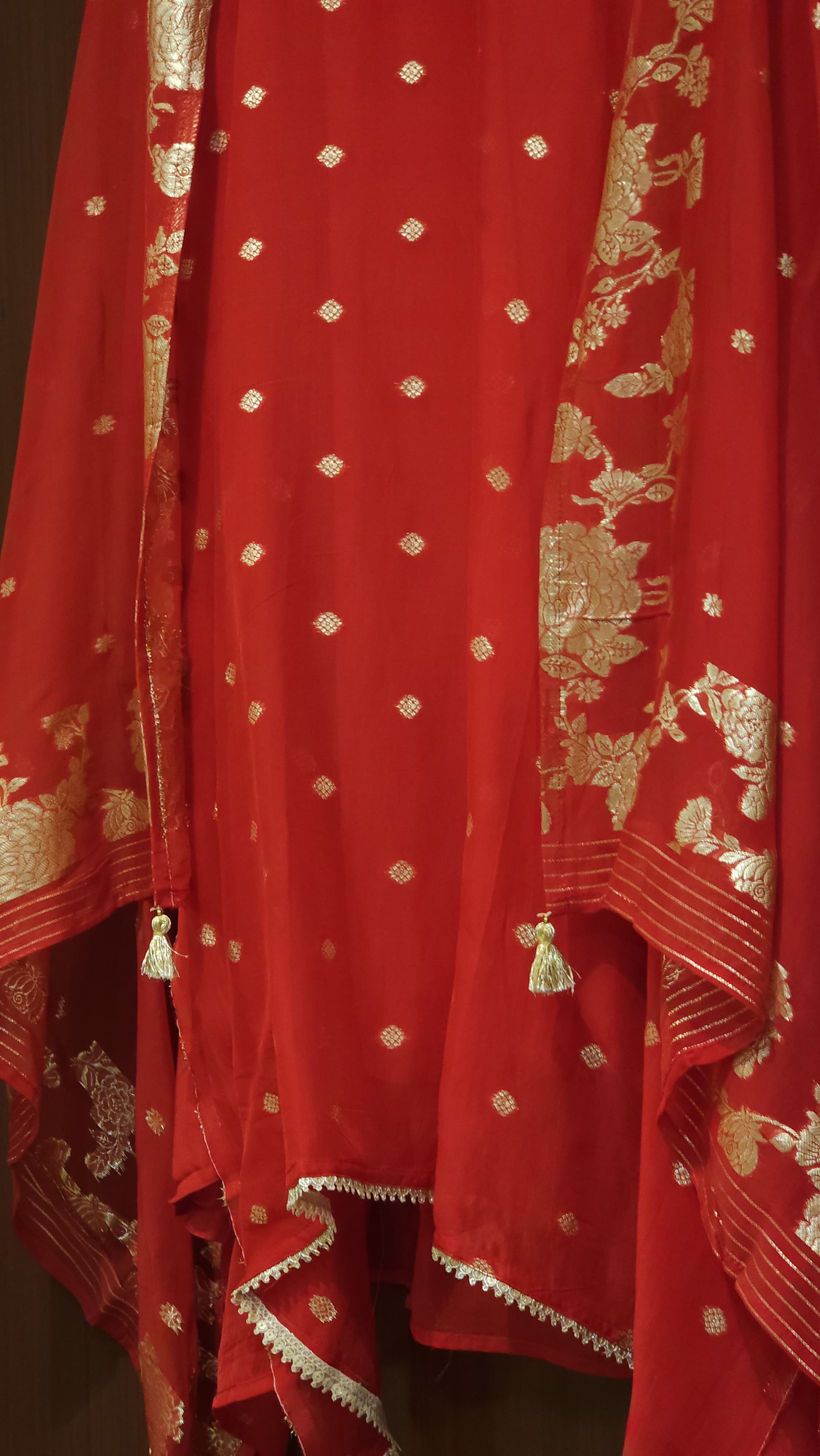 Banarasi Organza Elegance for Festive Season