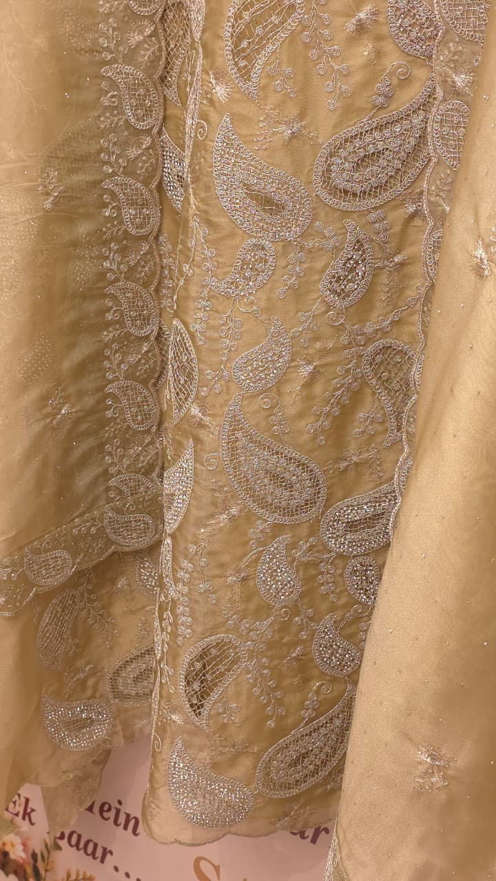 Formal Tissue Suit with statement Pakistani Jaali work