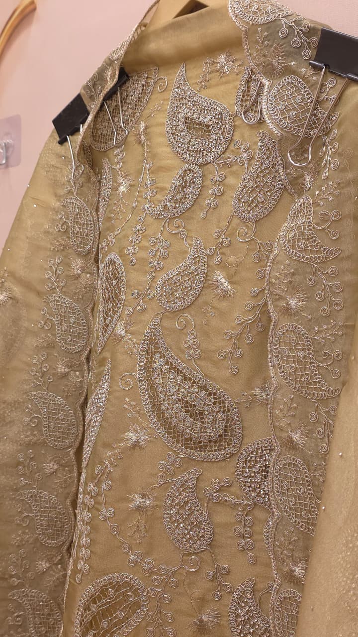 Formal Tissue Suit with statement Pakistani Jaali work