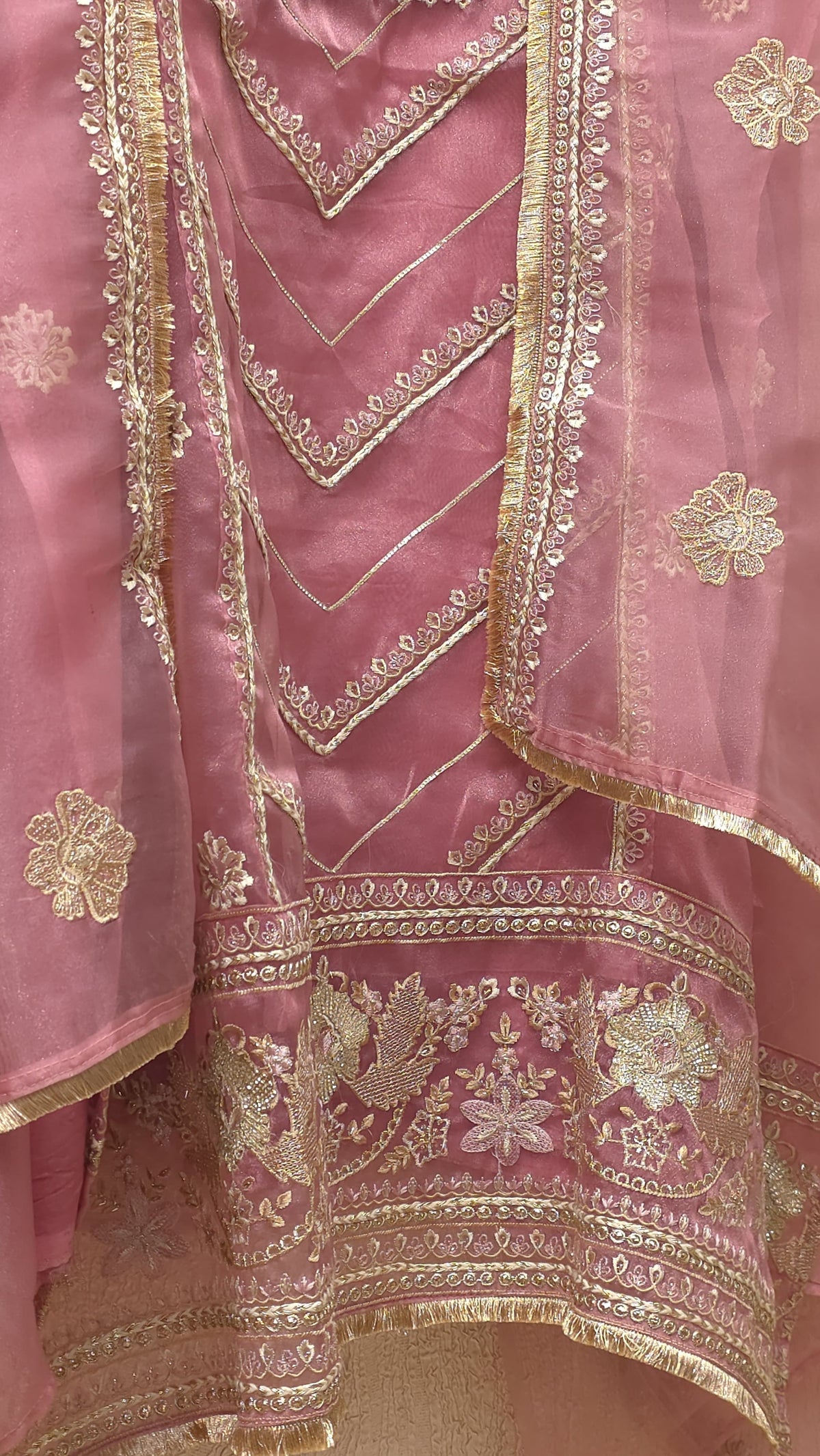 Pakistani Panel Style Glass Tissue Suit