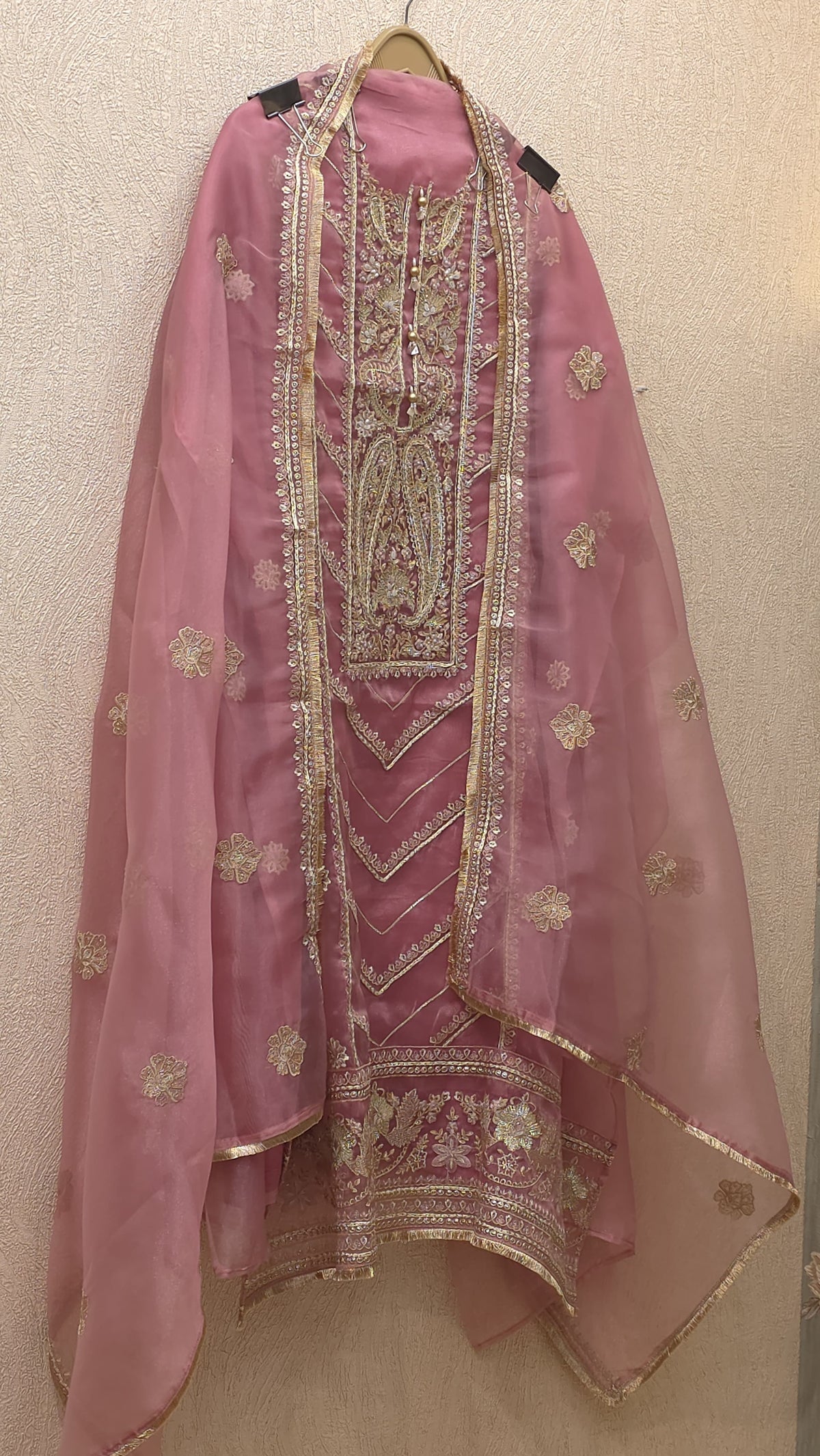 Pakistani Panel Style Glass Tissue Suit