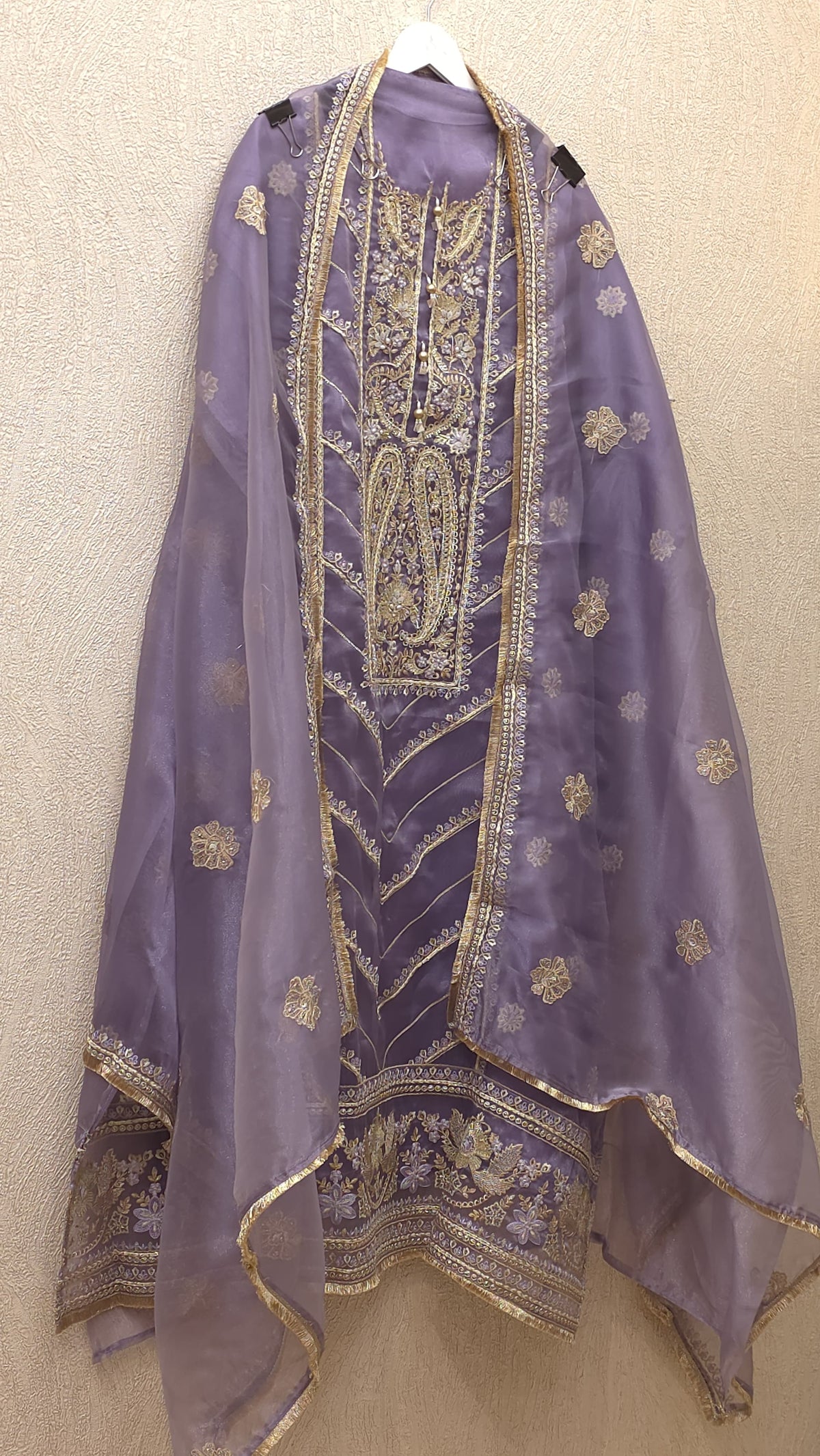 Pakistani Panel Style Glass Tissue Suit