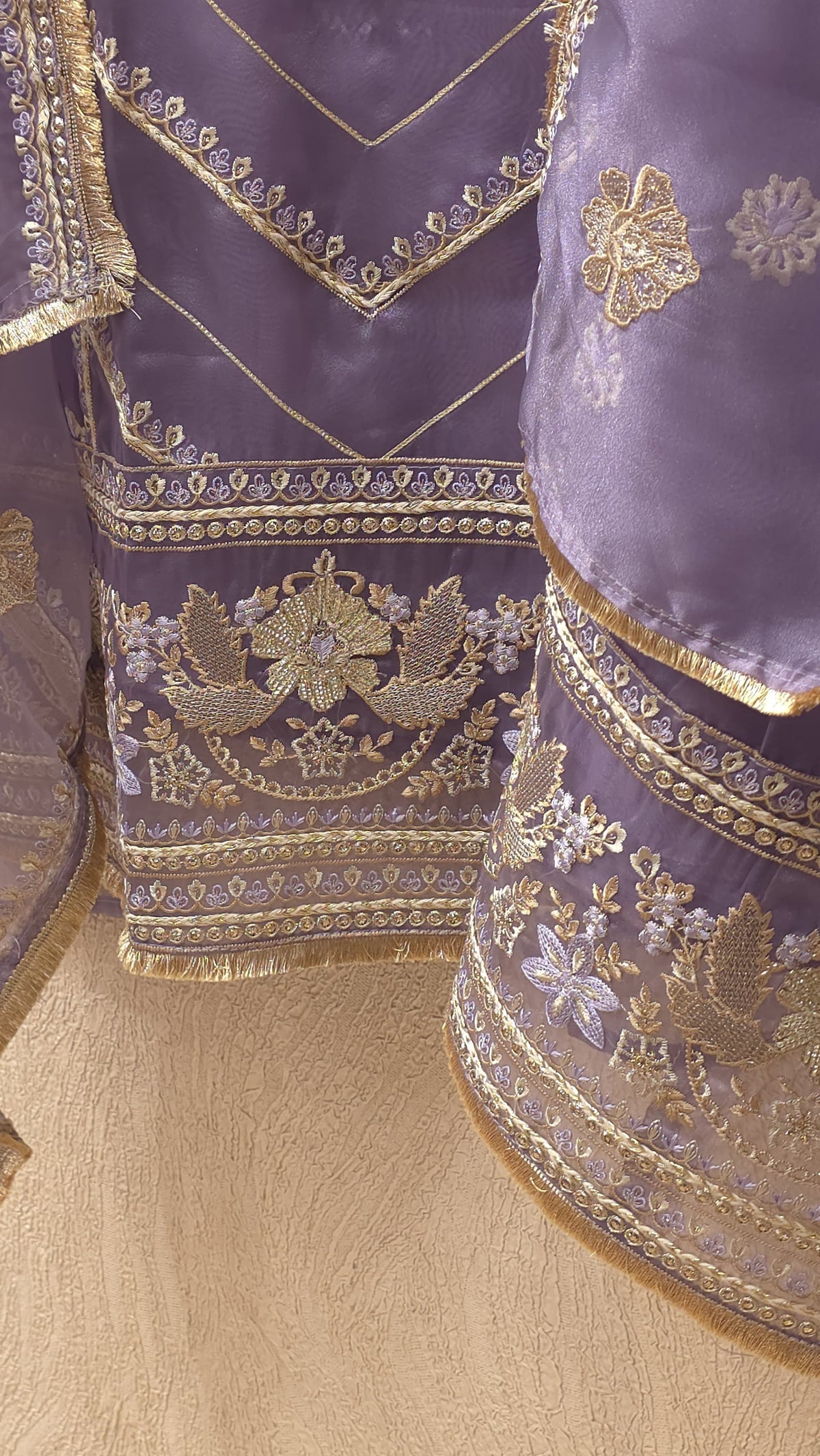 Pakistani Panel Style Glass Tissue Suit