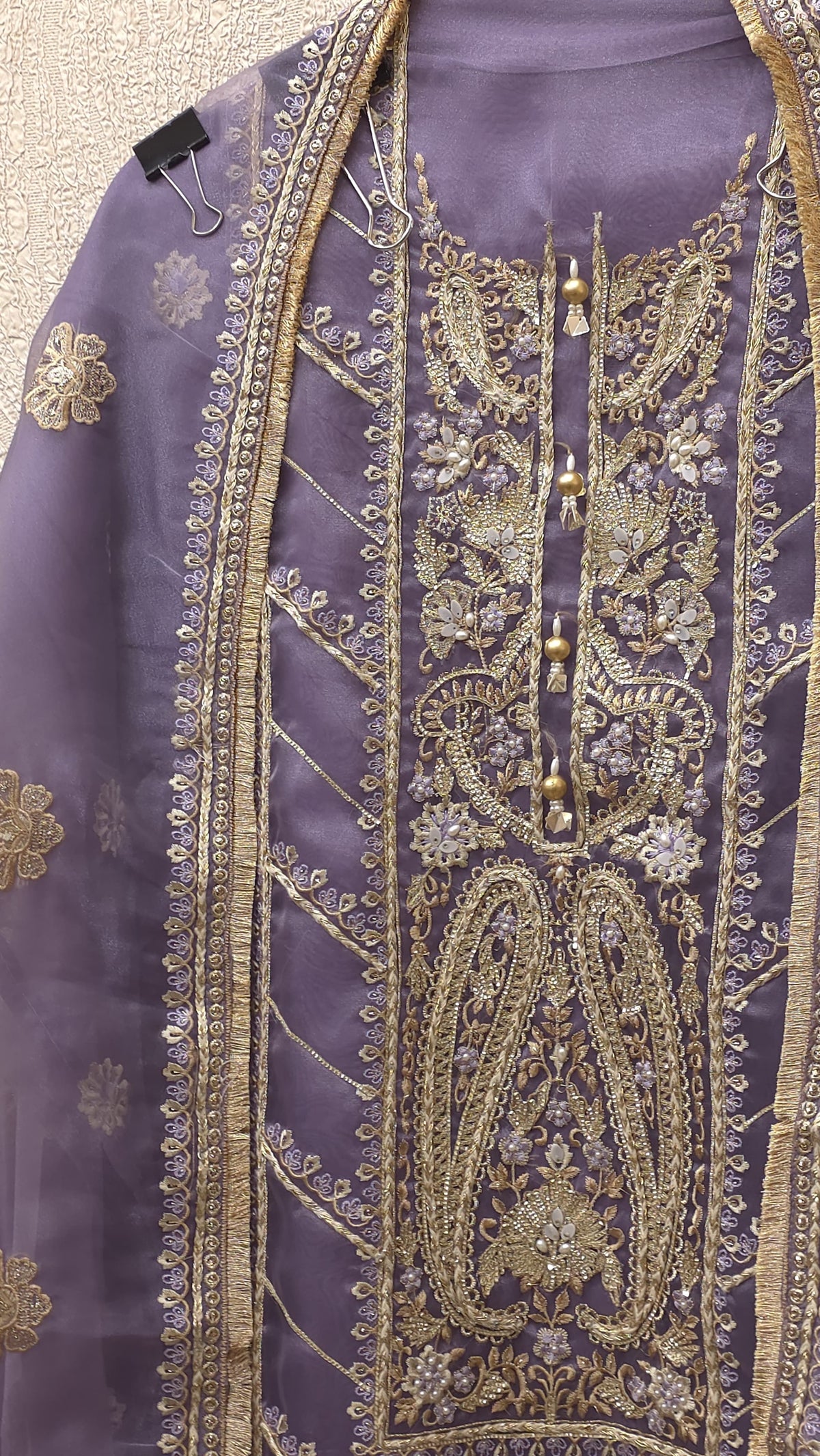 Pakistani Panel Style Glass Tissue Suit