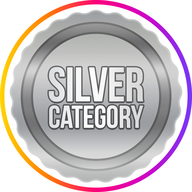 SILVER CATEGORY
