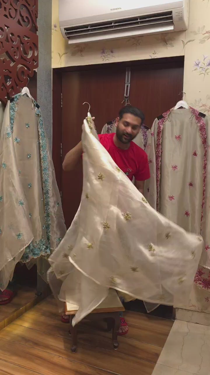 Premium Glass Tissue Suit with Parsi Work