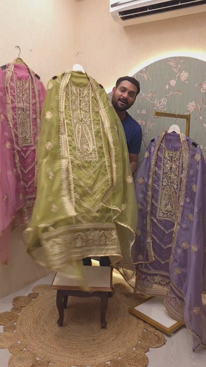 Pakistani Panel Style Glass Tissue Suit