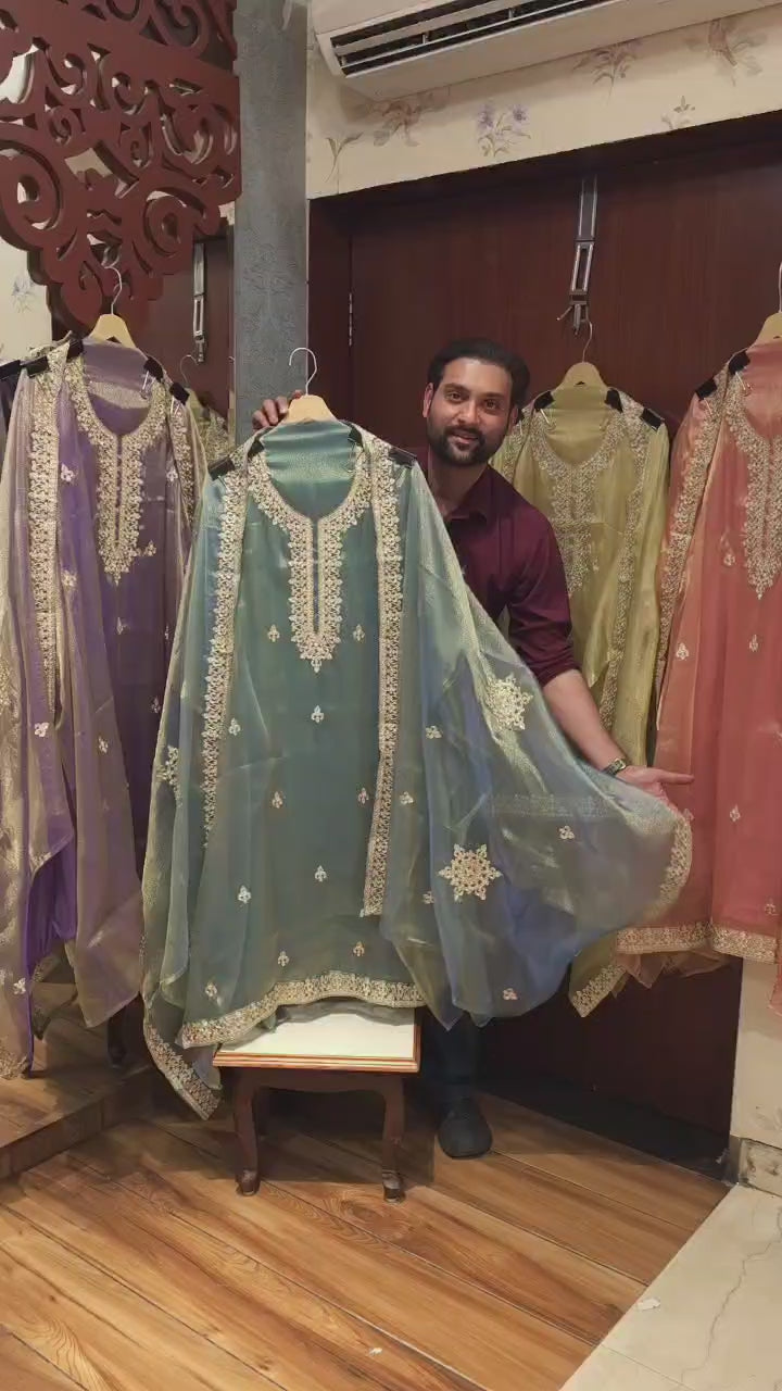 Zari Aari Embroidered - Organza Tissue Suit