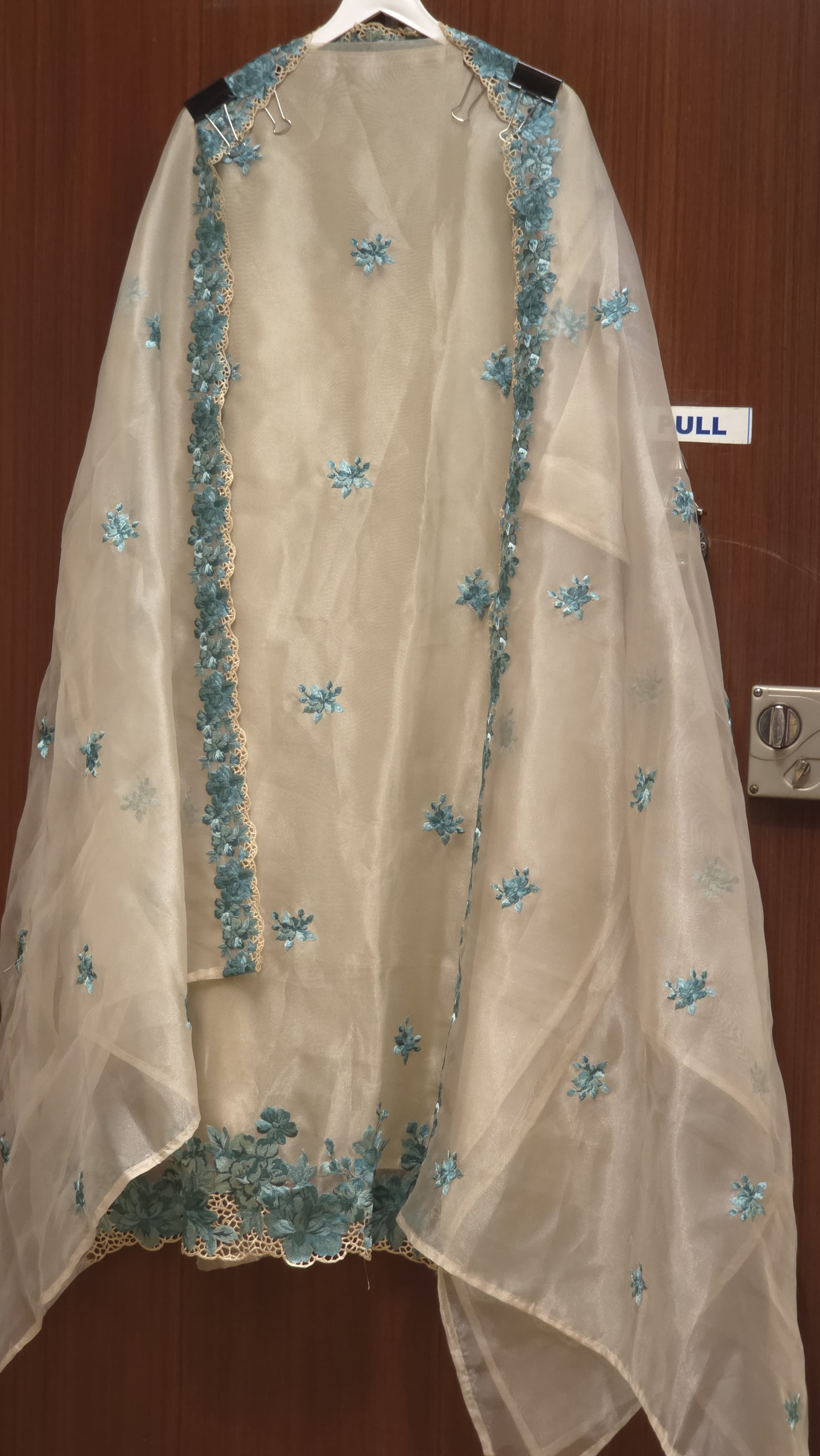 Premium Glass Tissue Suit with Parsi Work